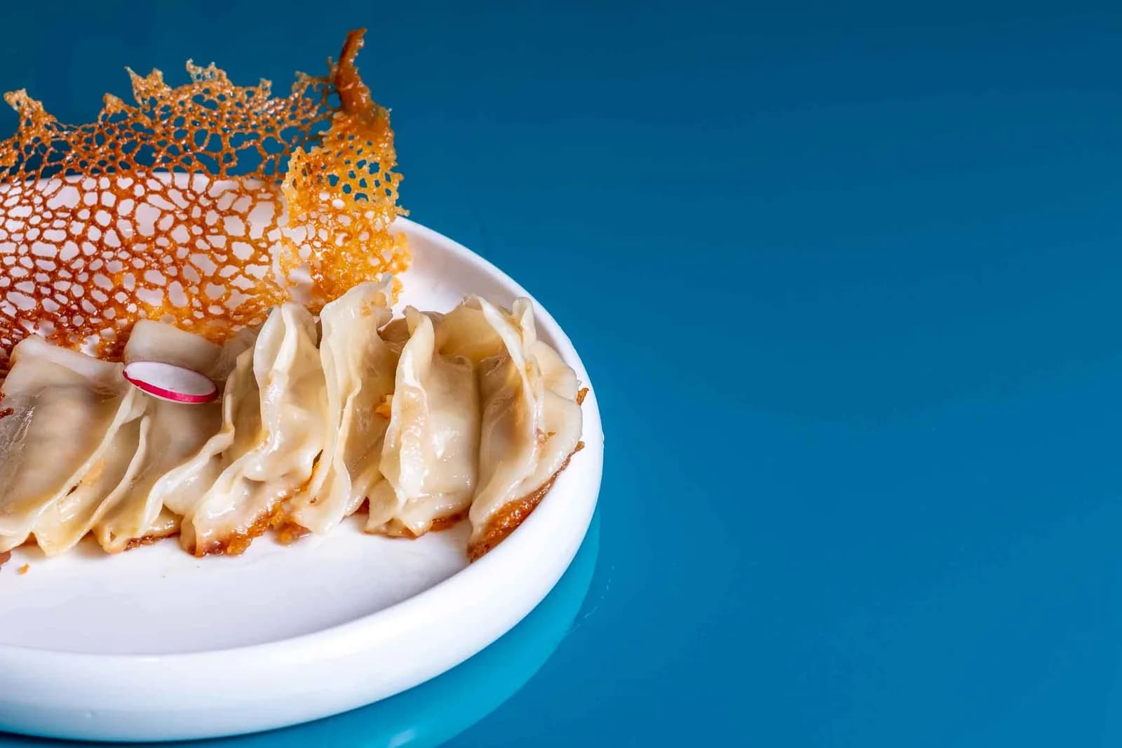 Gyoza