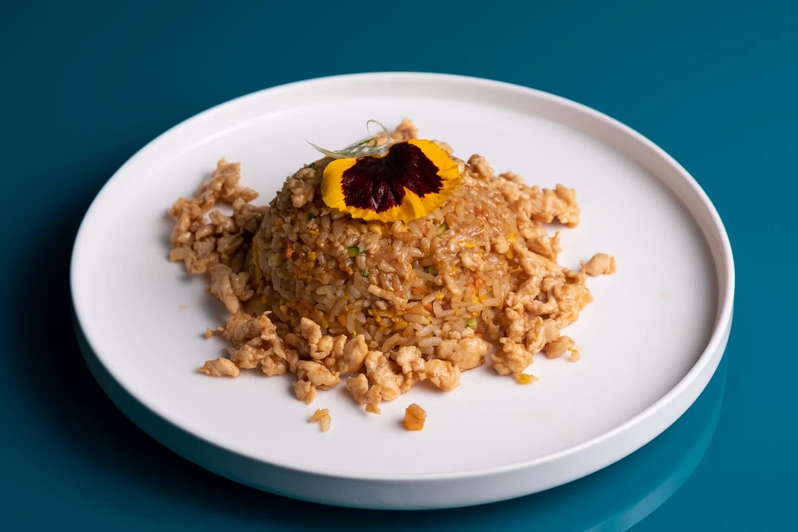 Yakimeshi Pollo